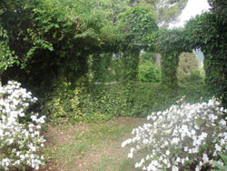 Jardin sur une colline à Florence