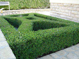 Petites espaces de verdure