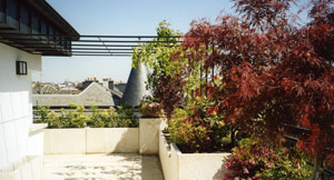 A roof garden